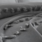 Cuvertura Pat, Tesuta din Bumbac 100%, 2 Persoane, 235x250 cm, Dantela, Model Asia, Gri, D7052
